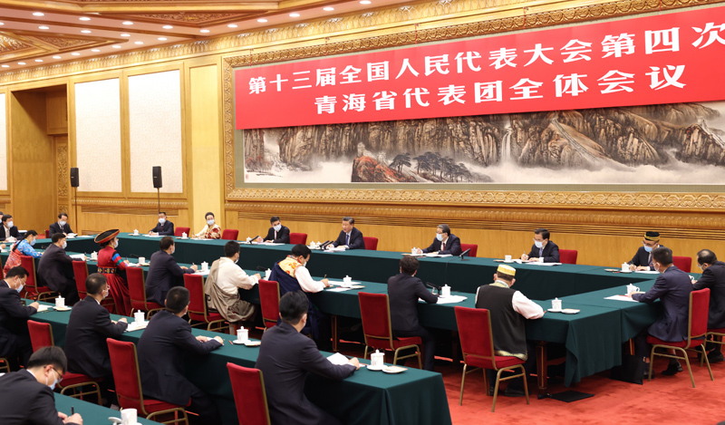 3月7日，中共中央總書記、國(guó)家主席、中央軍委主席習(xí)近平參加十三屆全國(guó)人大四次會(huì)議青海代表團(tuán)的審議。新華社記者 黃敬文 攝